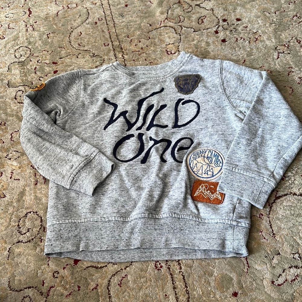 Gray camp-style boy’s sweatshirt with patches and embroidery “wild one.”
